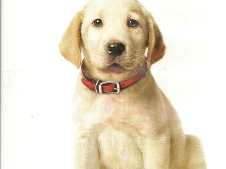 Marley and Me DVD Jennifer Aniston, Owen Wilson Online